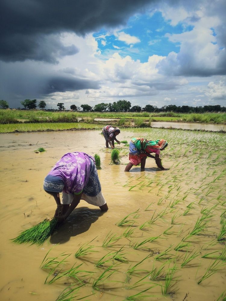 Photograph by Rashmi Ranjan Sahoo
