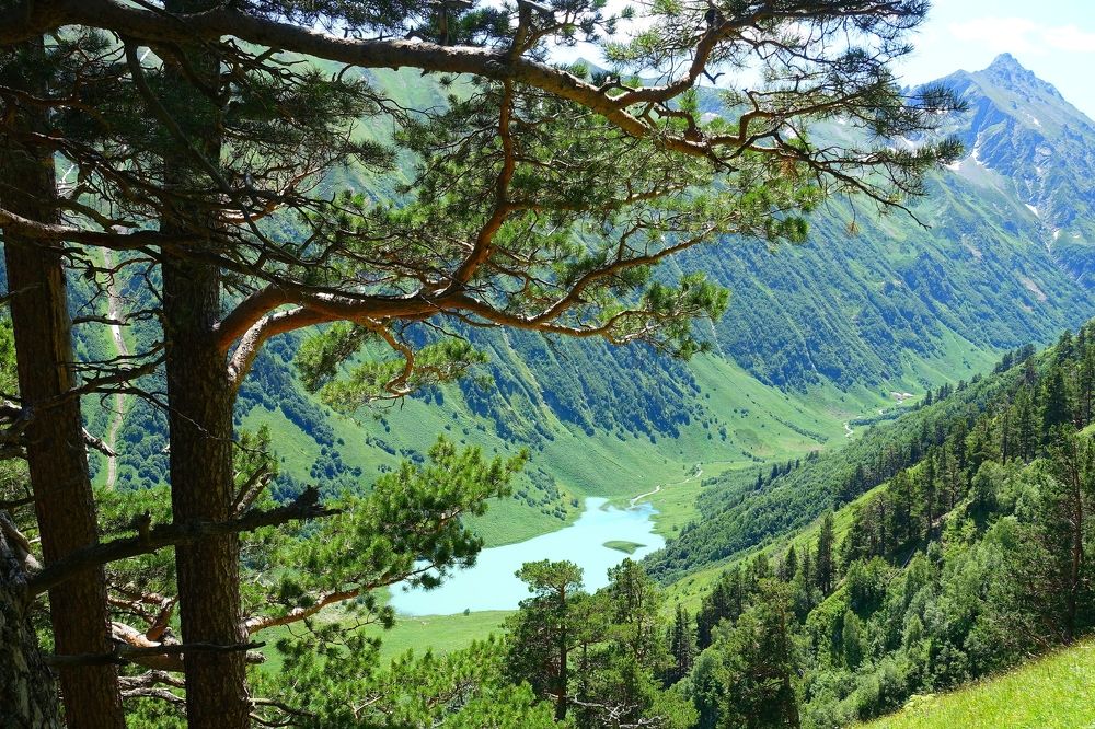 В зоне абсолютной заповедности