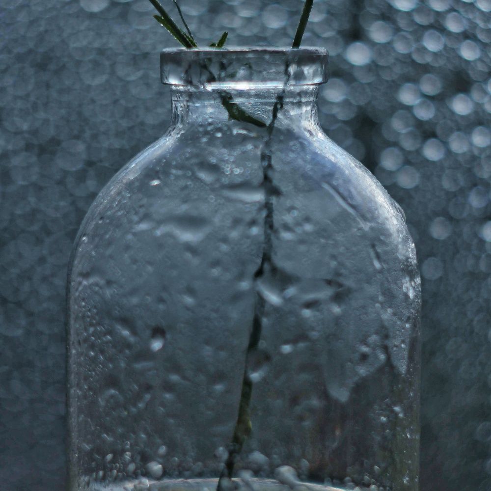 Photograph by Евгения Уманец