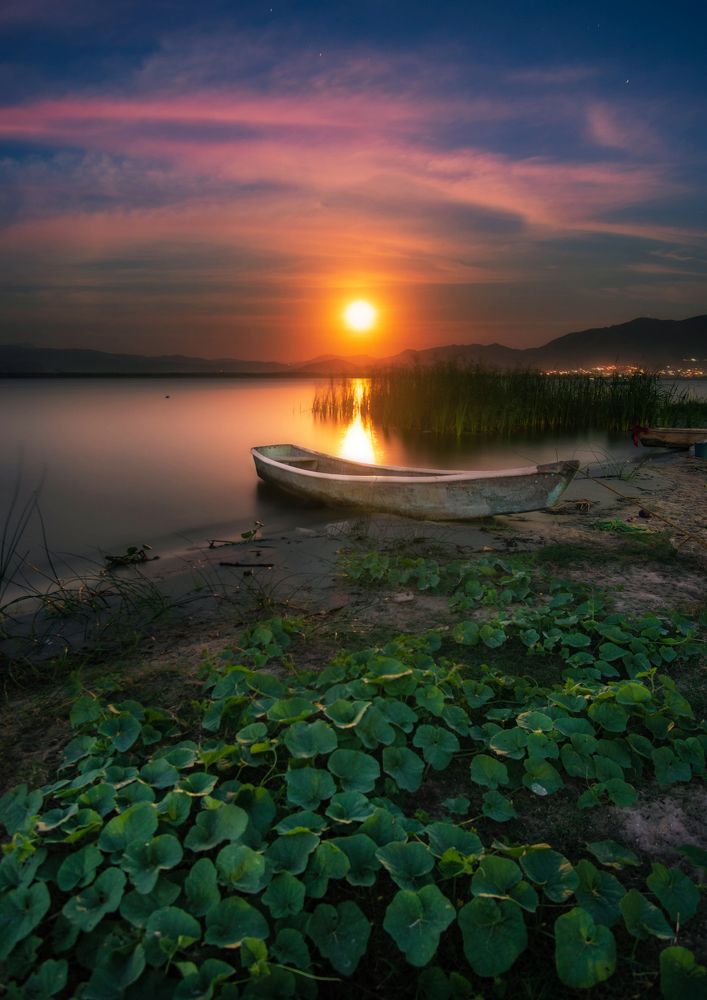 Photograph by Brian mena laureano