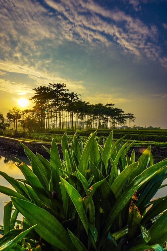 Photograph by Rino Rino pasi