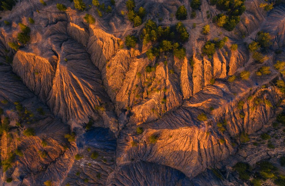 Фотография автора Гарбузов Илья