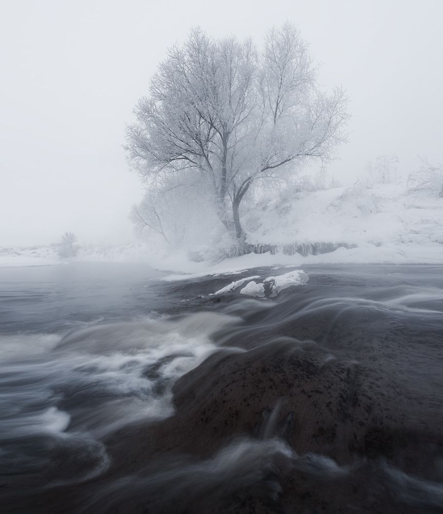 Photograph by Виталий Левыкин