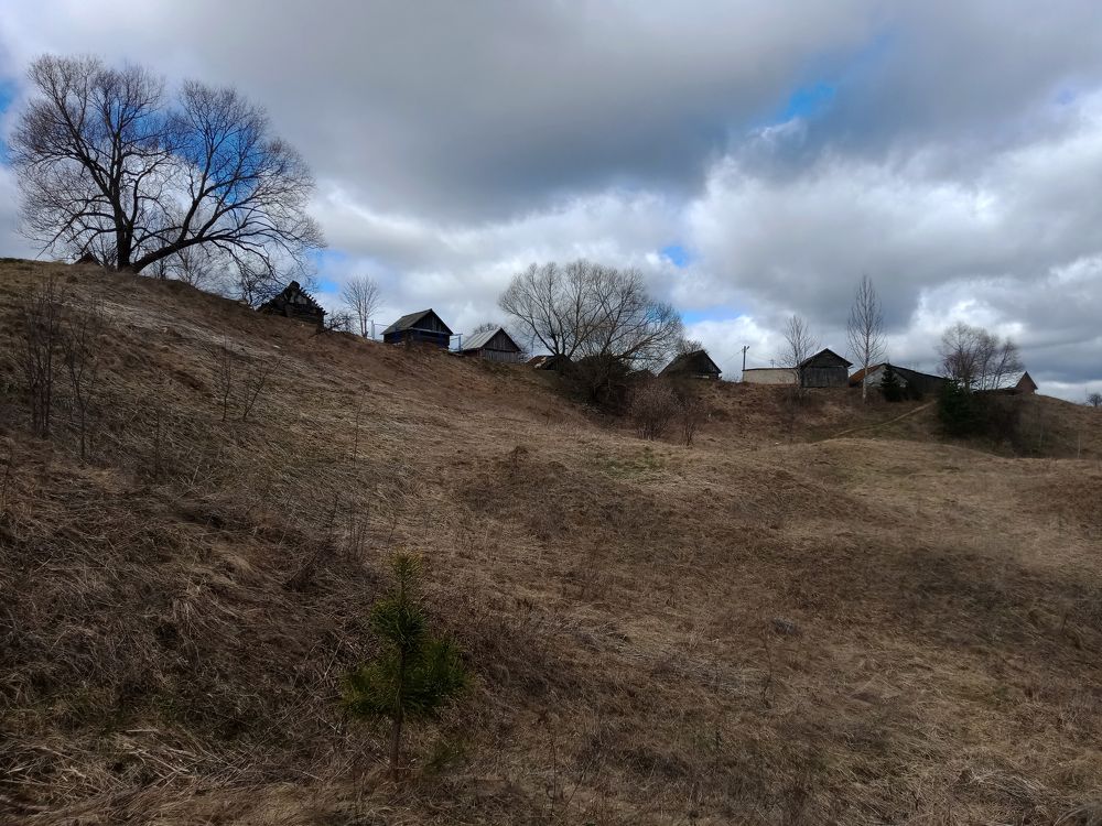 Photograph by Анастасия Сушинская