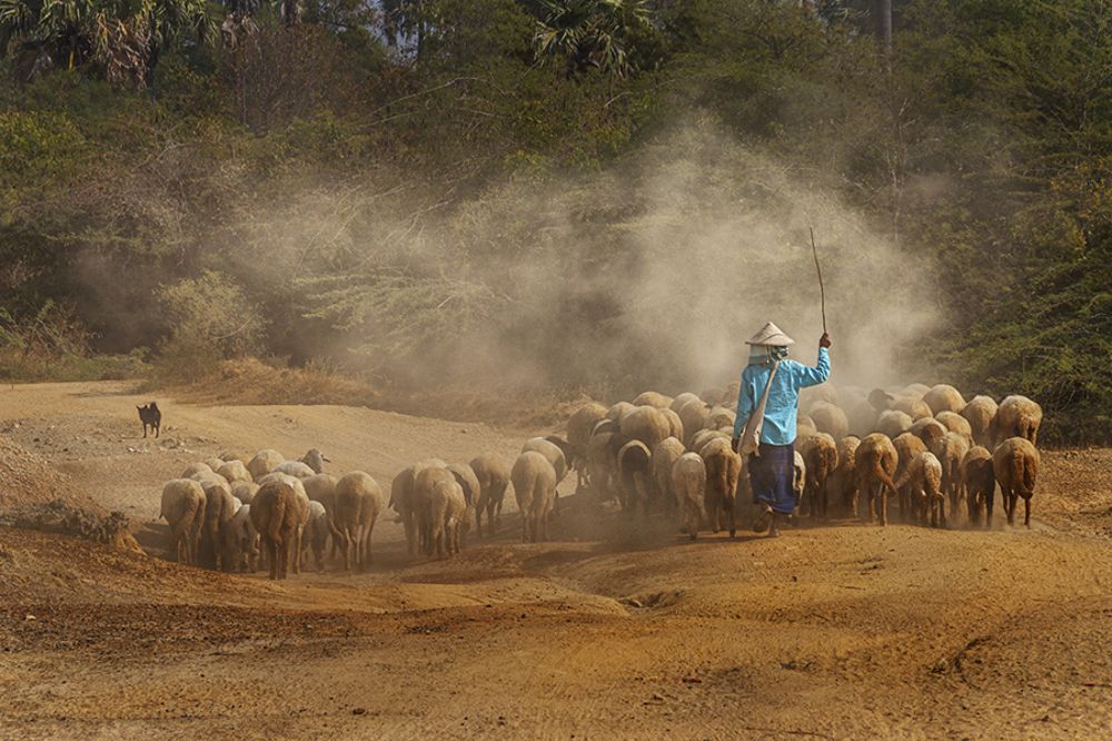 Photograph by Min Wathon