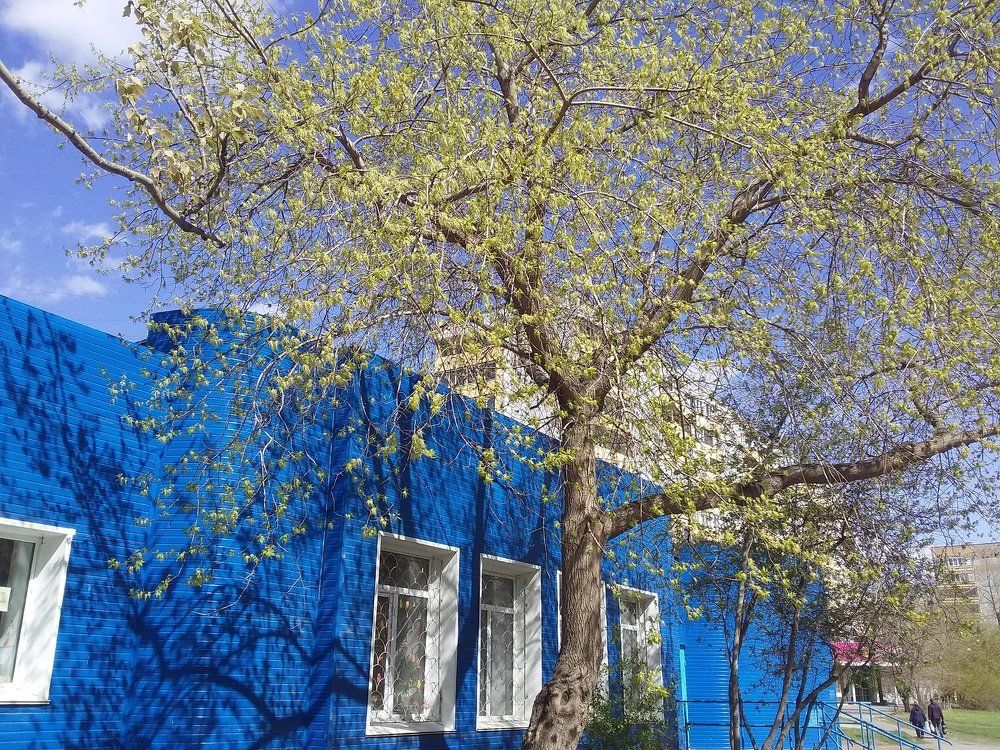 Photograph by Анастасия Кичигина