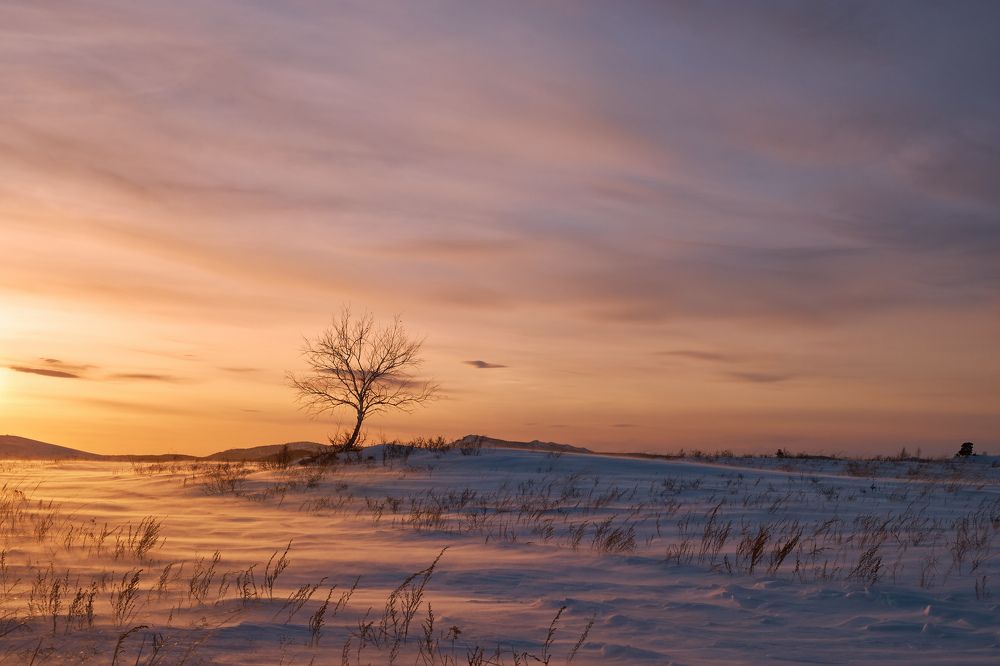 Photograph by  Юрий