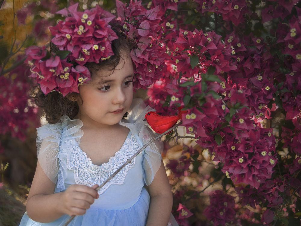 Photograph by melissa vallin