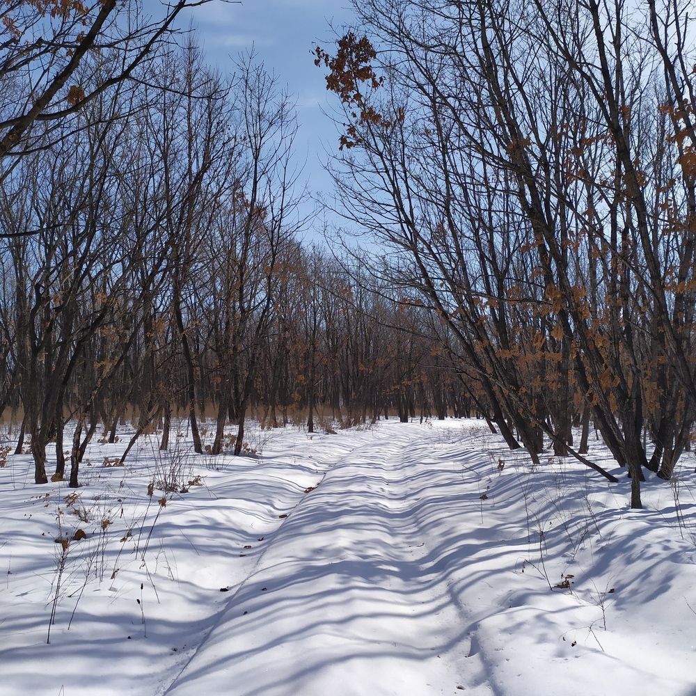 Photograph by Елена Кондратьева