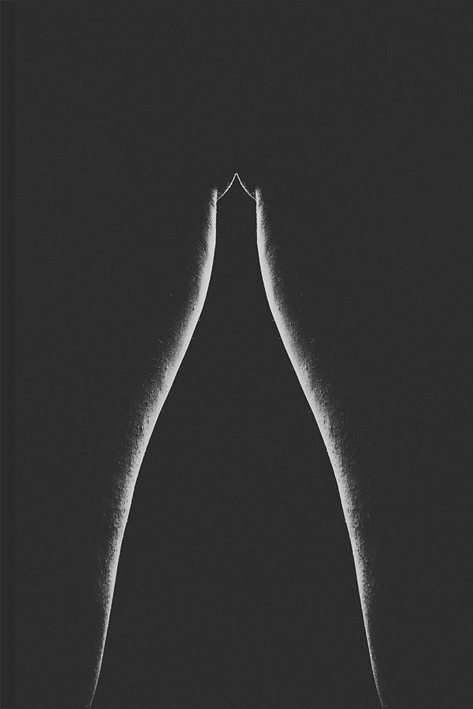 Photograph by barbad