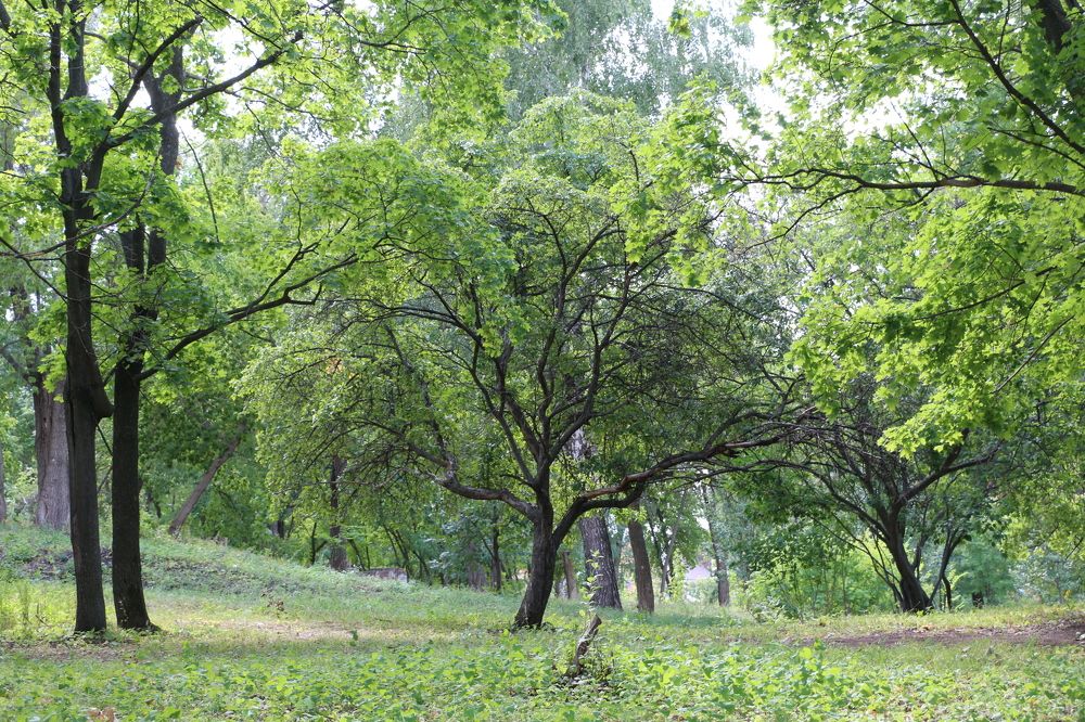 Photograph by Сергей Яковлев