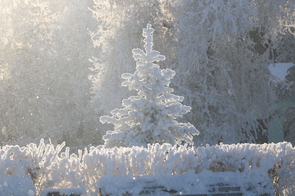 Photograph by Сергей Яковлев