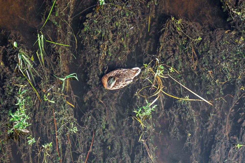 Photograph by Николай Фролов