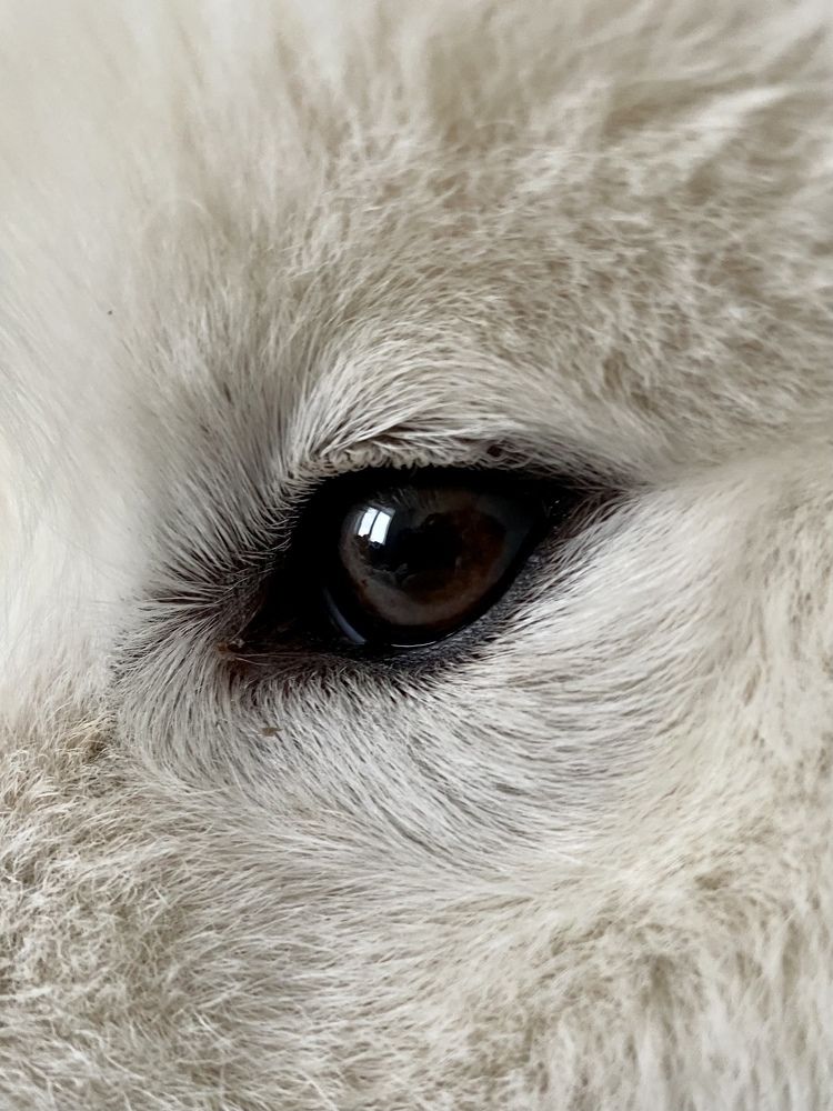 Photograph by Елена Иванова