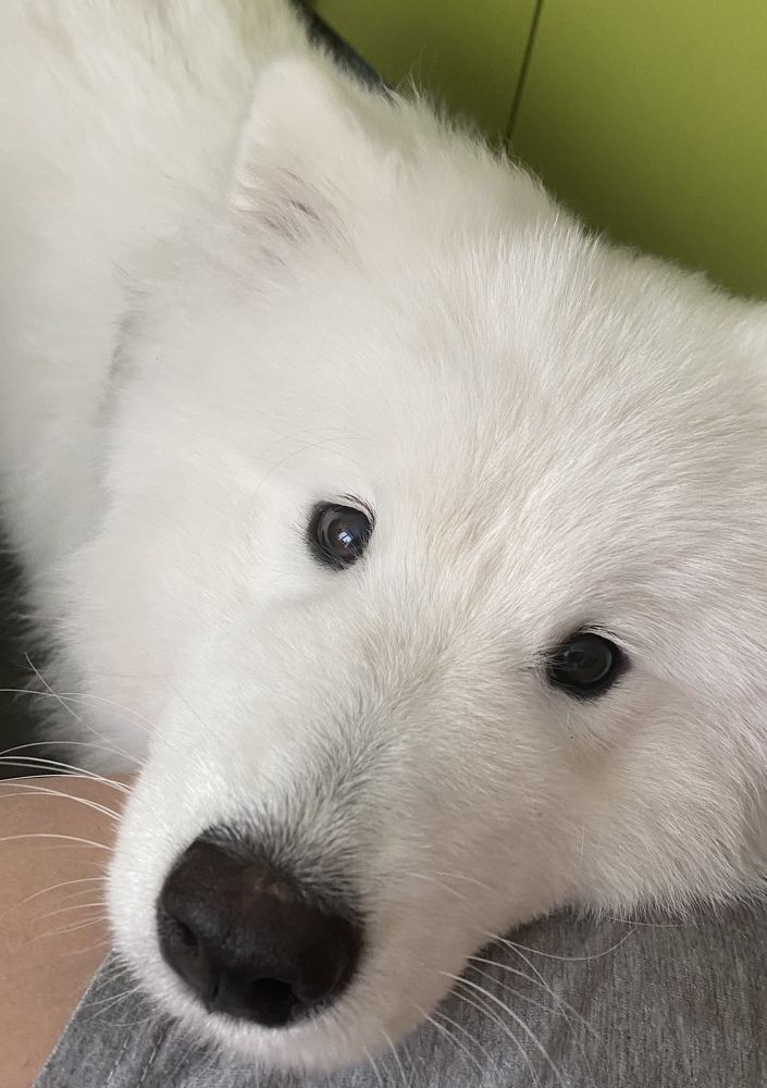 Photograph by Елена Иванова