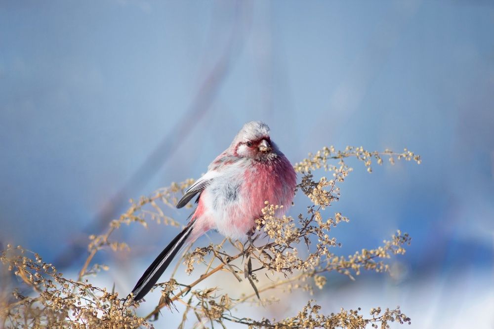 Photograph by Александр Канцур