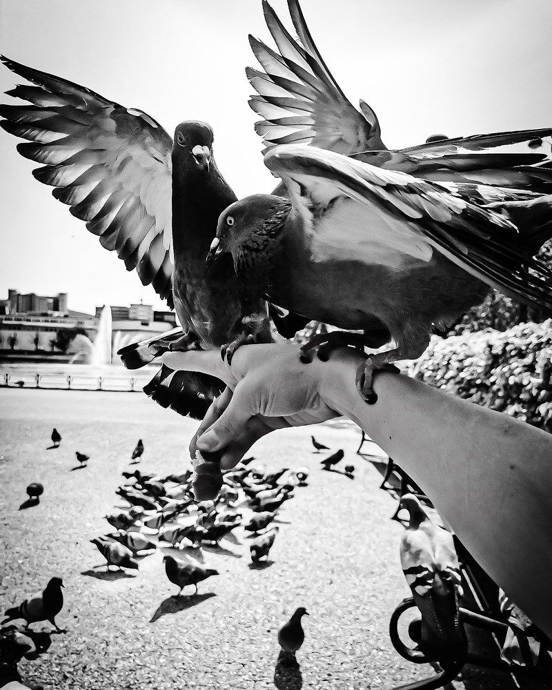 Фотография автора Jana Treija