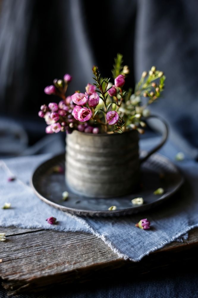 Photograph by Татьяна Кытина