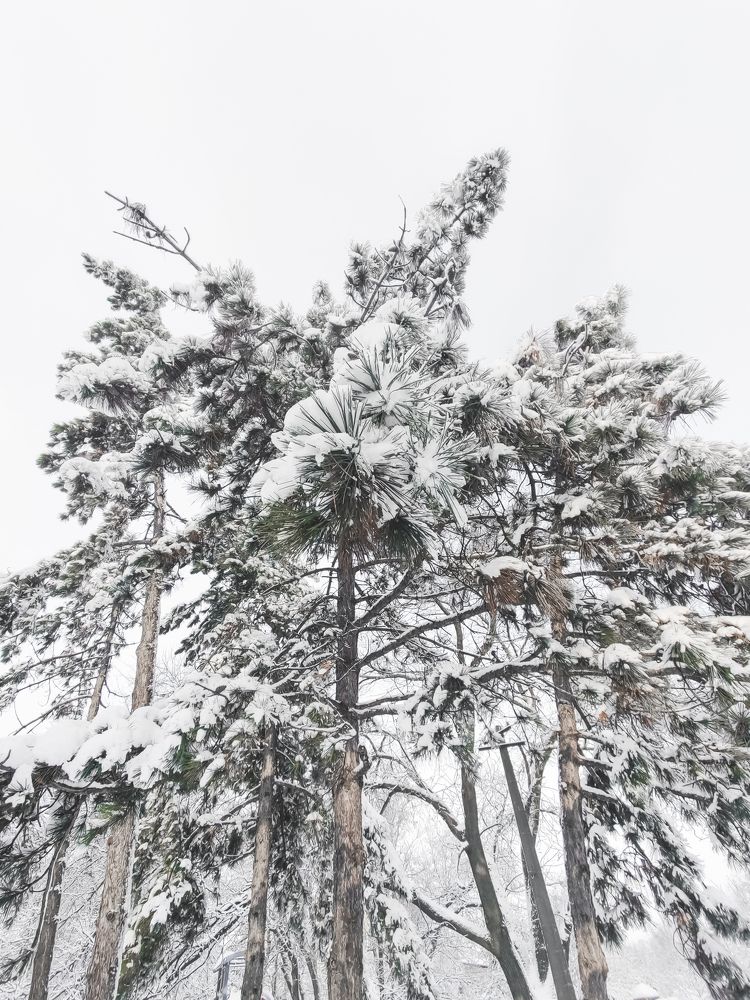 Photograph by Дарья Прусс