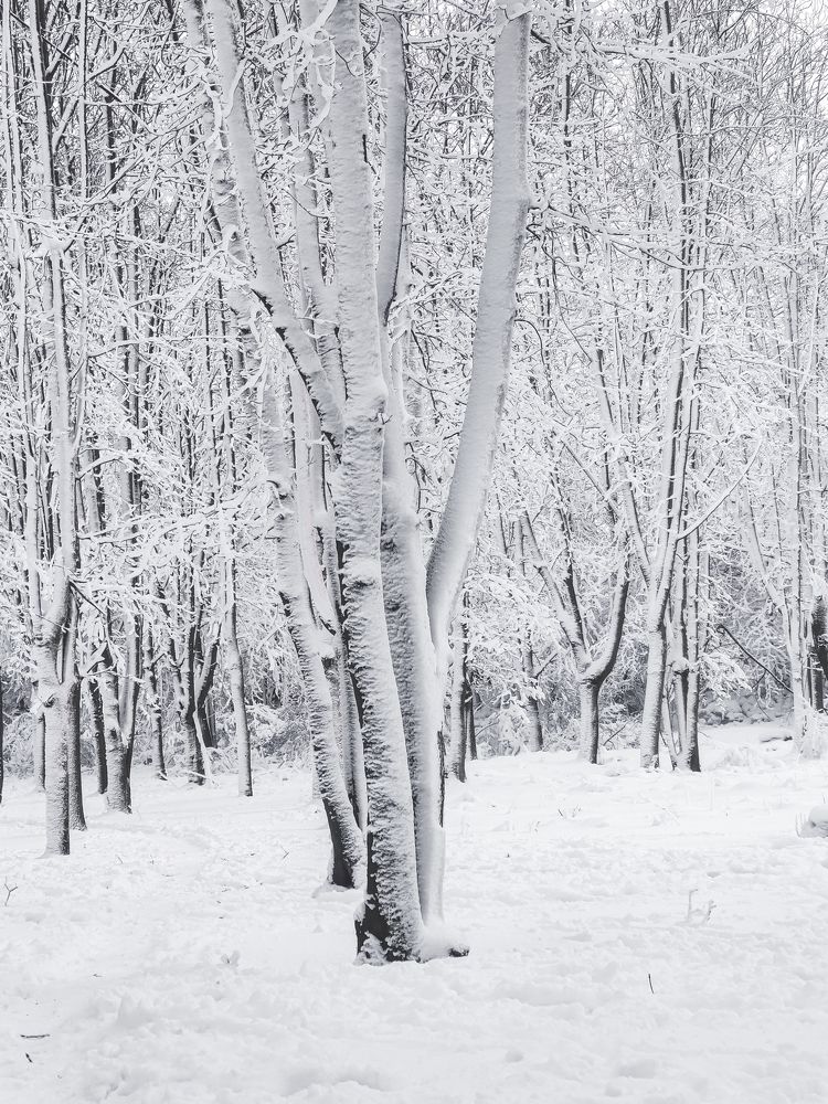 Photograph by Дарья Прусс