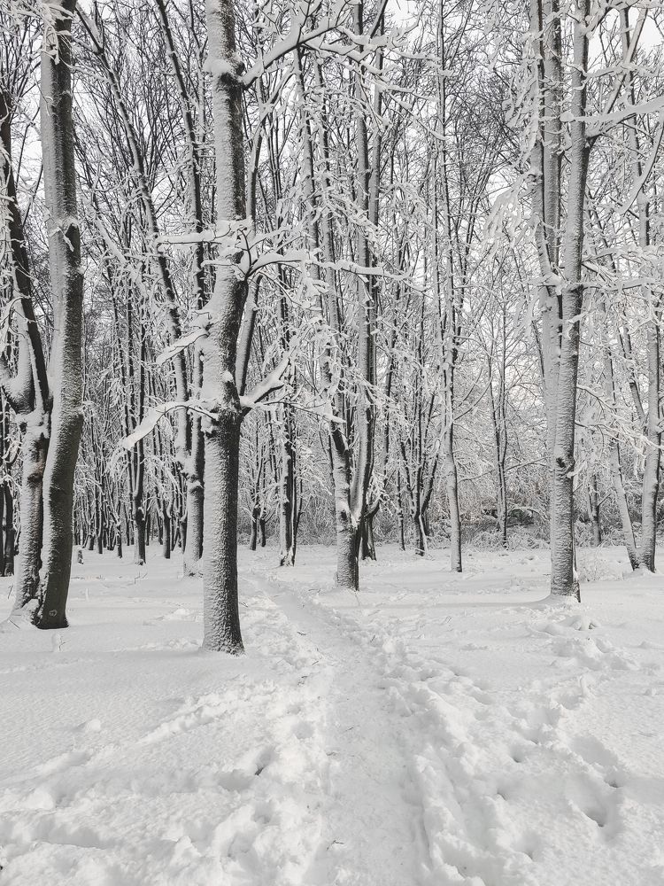 Photograph by Дарья Прусс