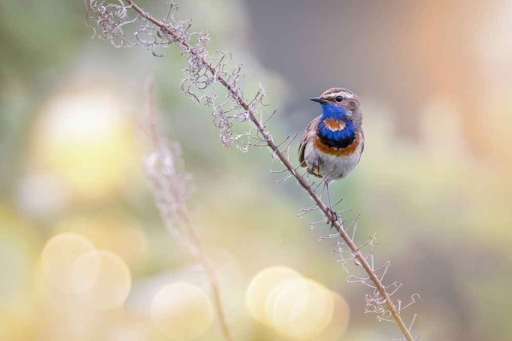 Photograph by Дмитрий Посевич