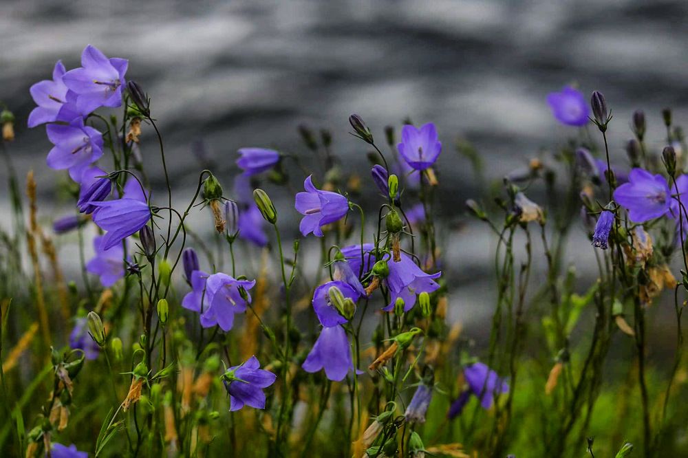 Photograph by Елена Ковалева