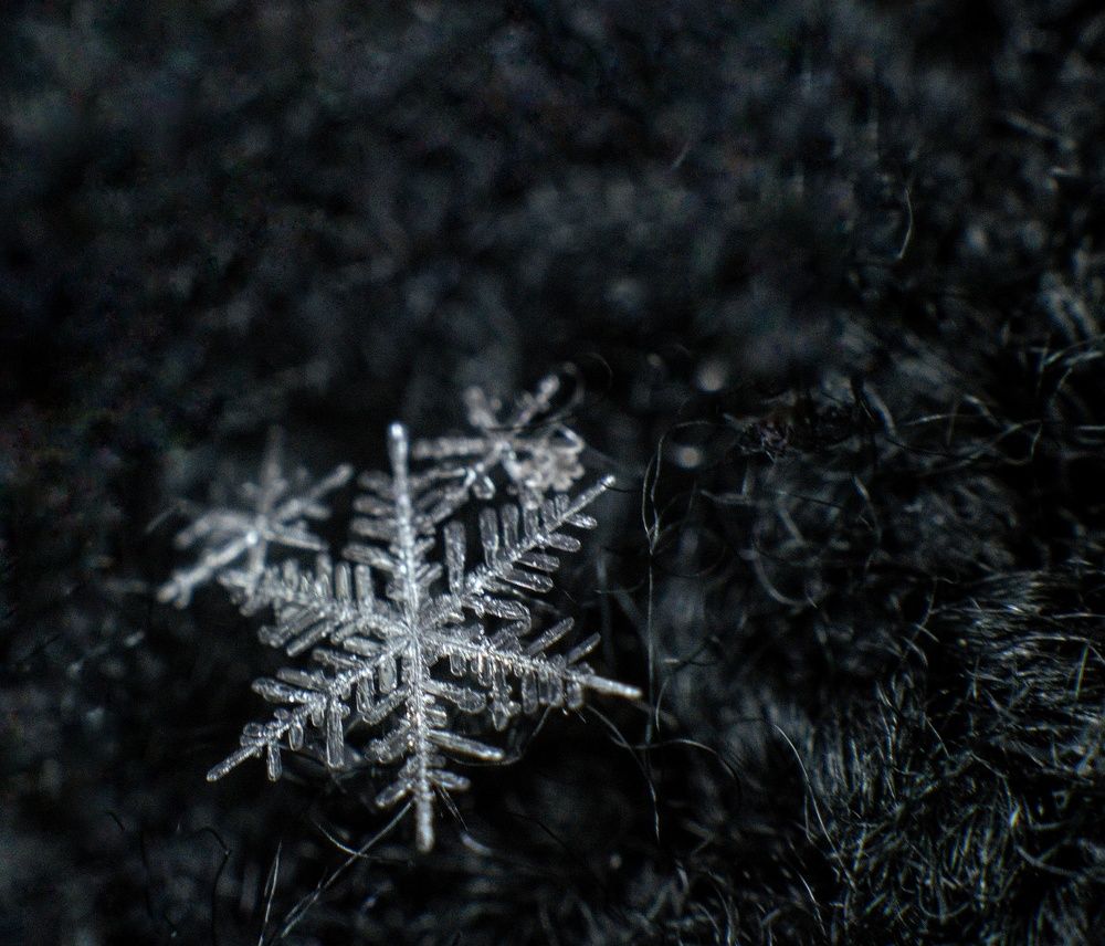 Photograph by Ирина Курицына