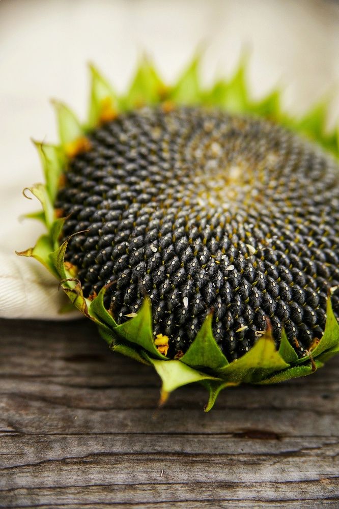 Photograph by Анжелика Сидорова