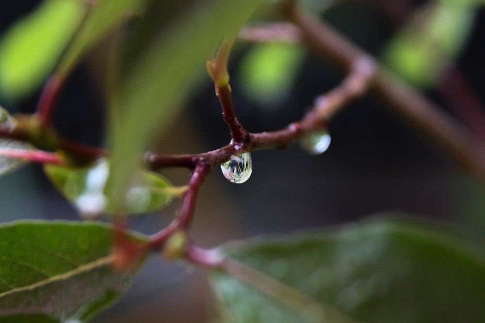 Photograph by Daria Shteynikova