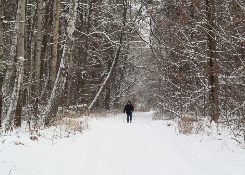 прогулка на лыжах