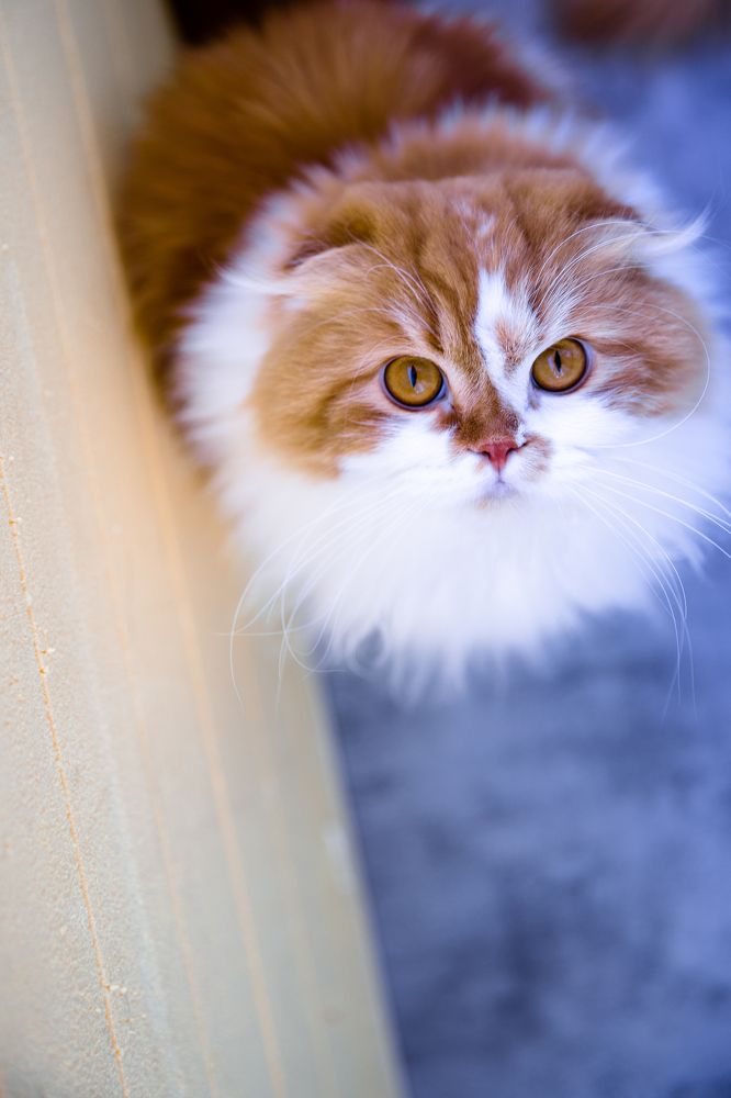 Photograph by Ольга Веретенникова