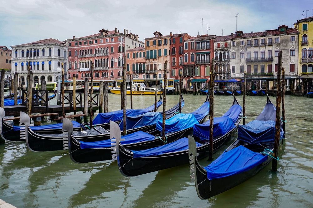 Photograph by Елена Никонова