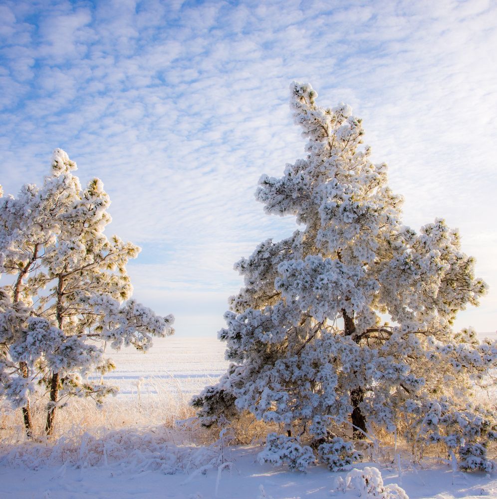 Знакомство.