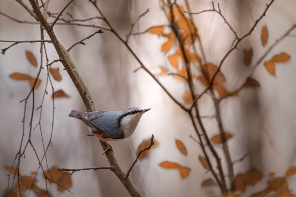 Photograph by Дмитрий Посевич