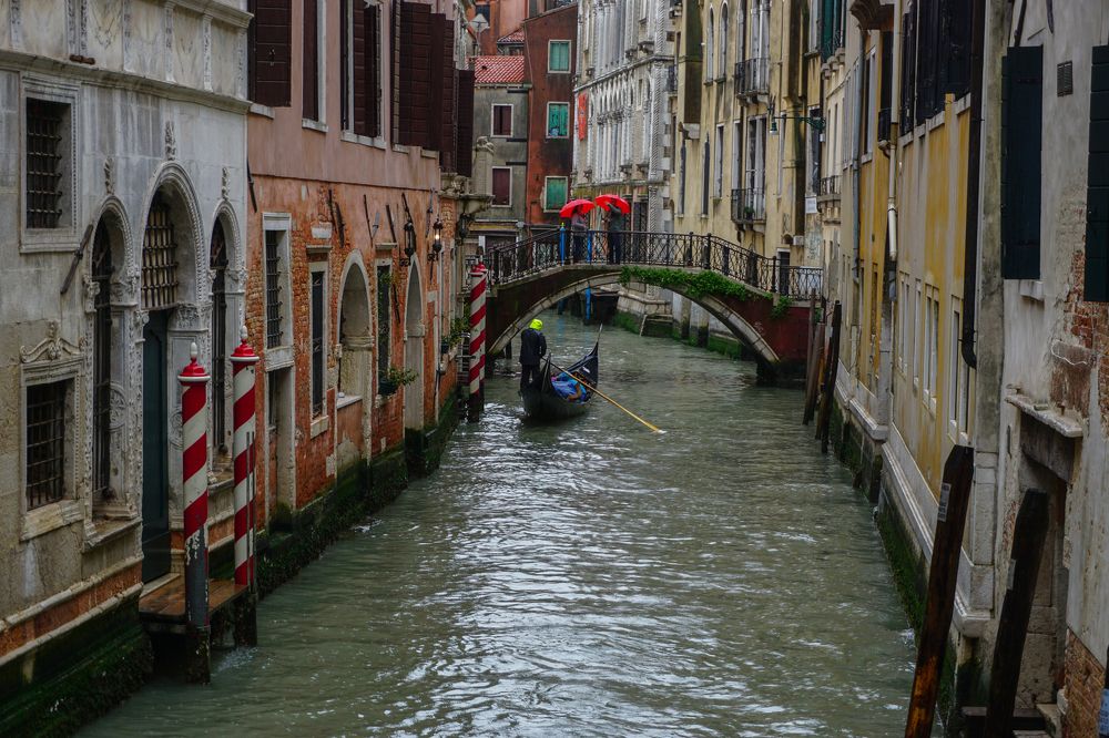 Photograph by Елена Никонова