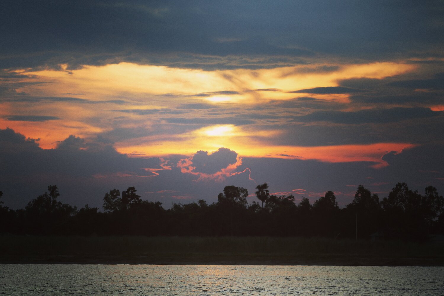 Photo #5863443