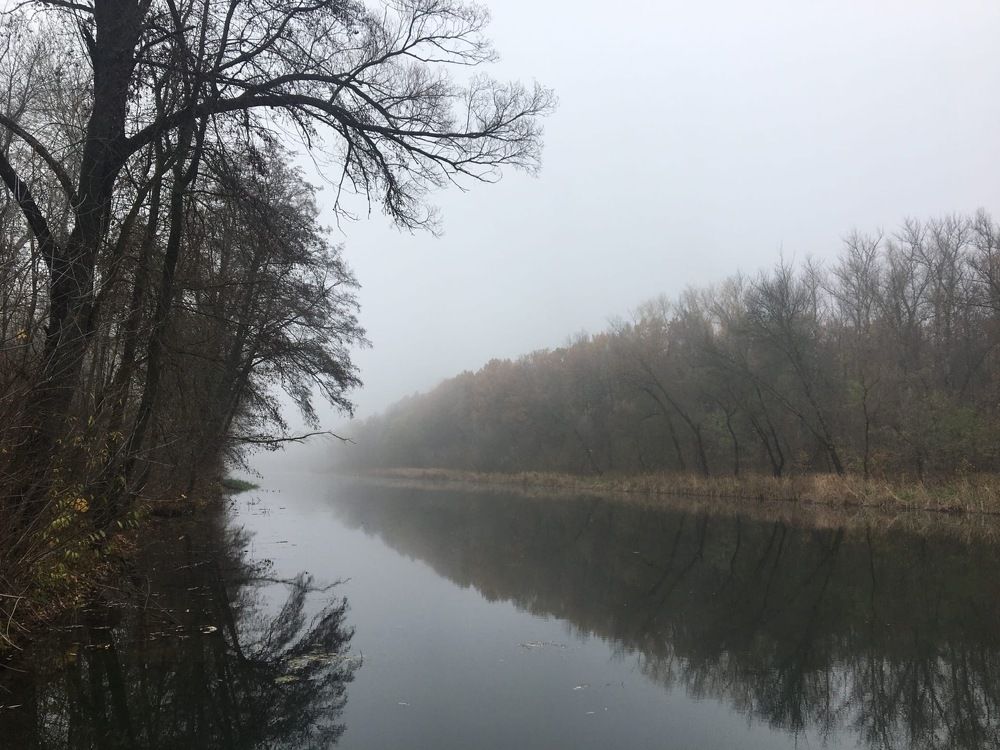 Photograph by Екатерина Толкунова