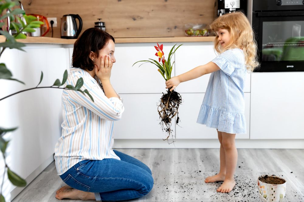 Photograph by Наталья Синицына