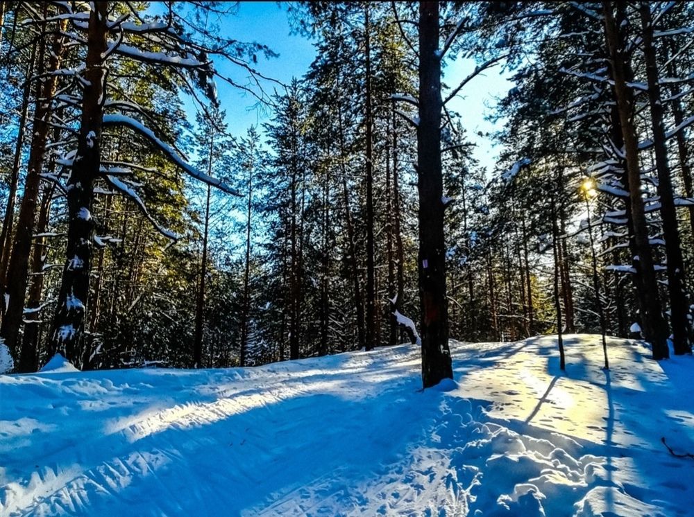 Photograph by Валерия Павлова