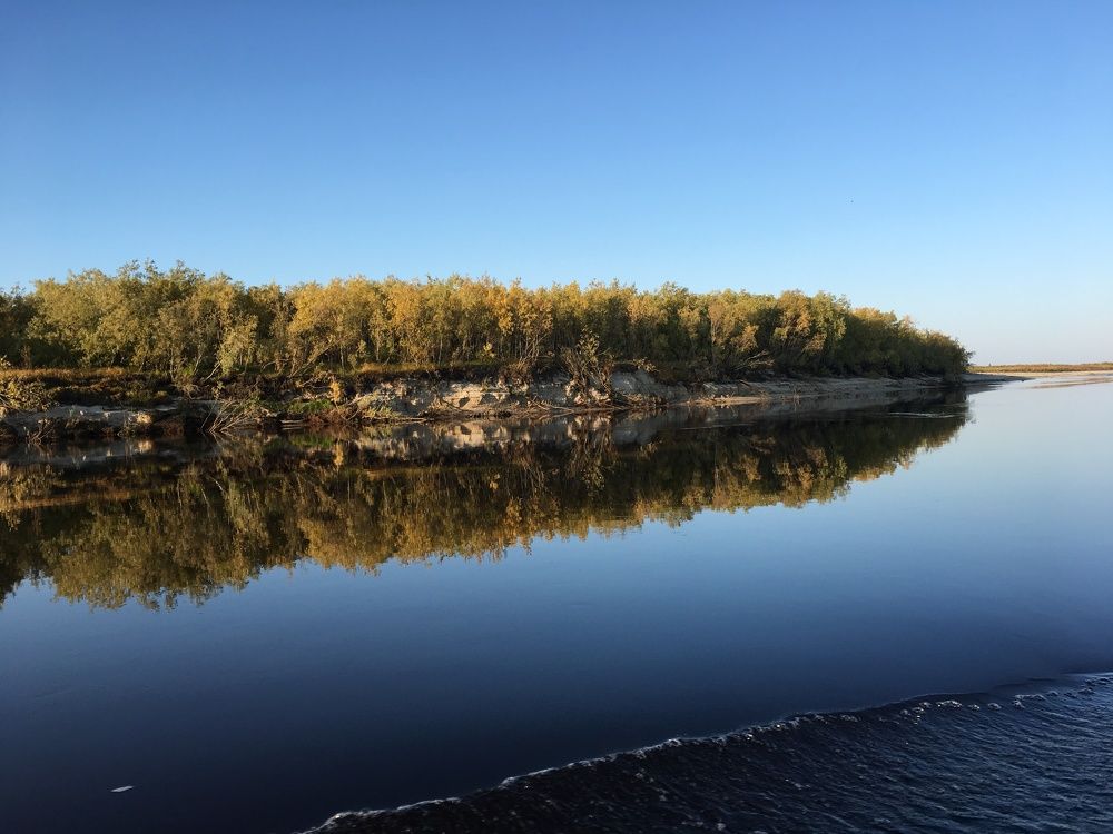 Photograph by Ирина Трембач