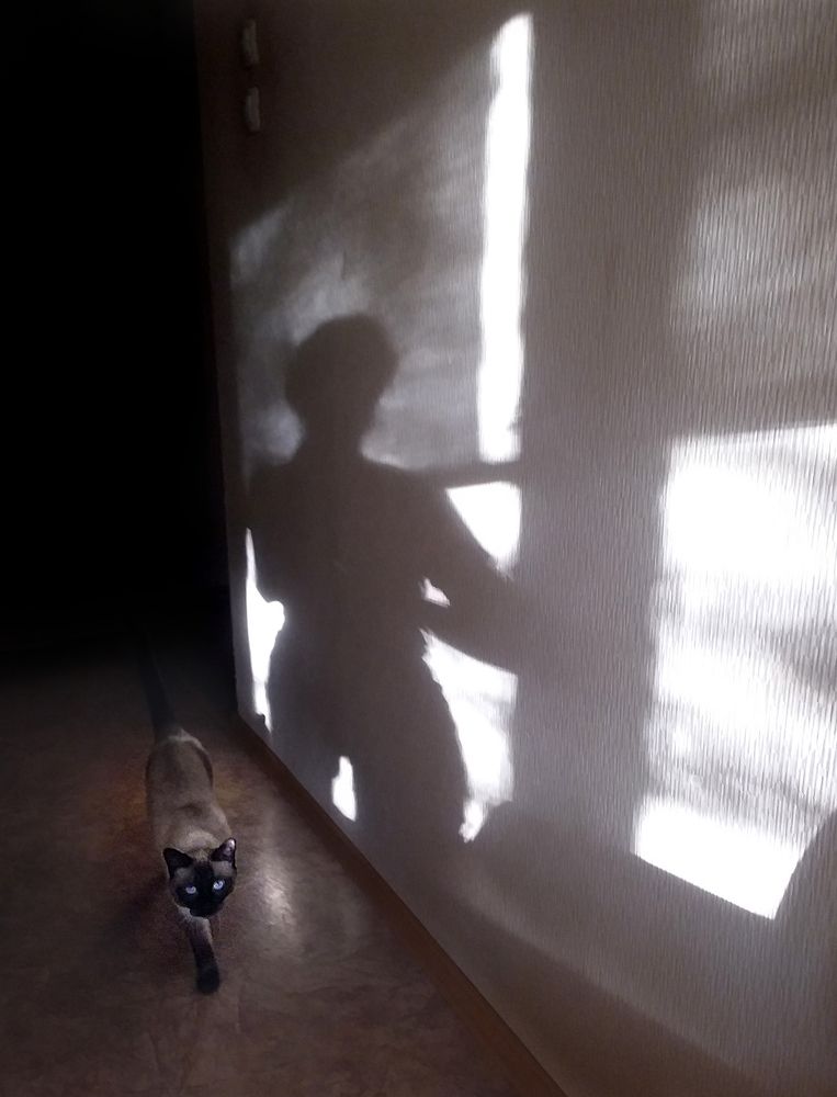 Шаг жизни в одном мгновении.