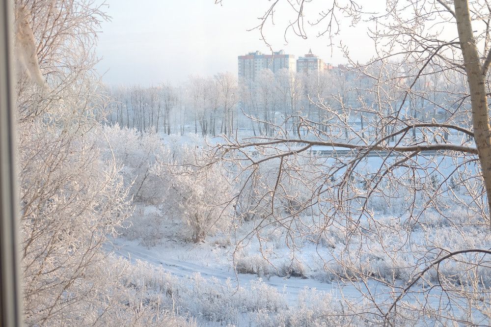 Photograph by Алёна Пичугина