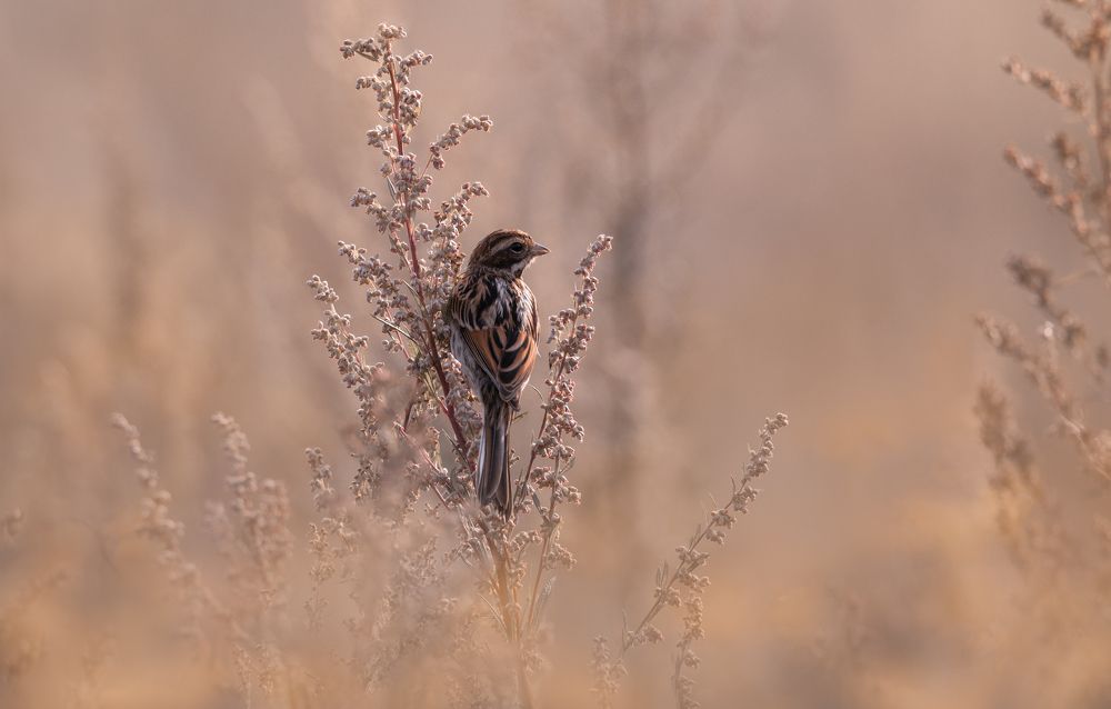 Photograph by Дмитрий Посевич