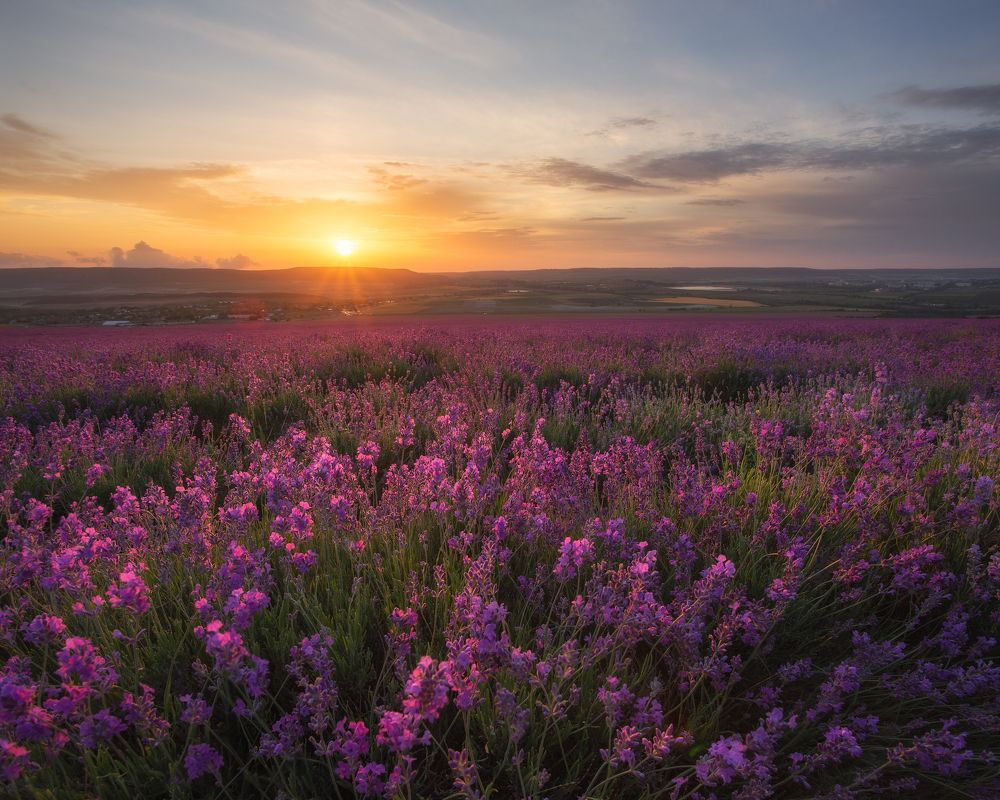 Фотография автора Екатерина Дмитренко