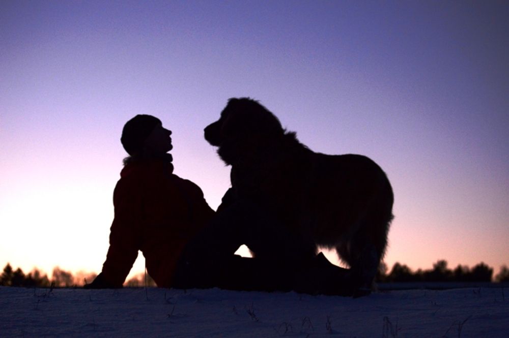 Photograph by Марина Адамковская