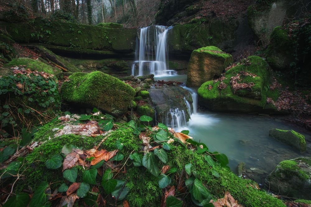 Фотография автора Екатерина Дмитренко