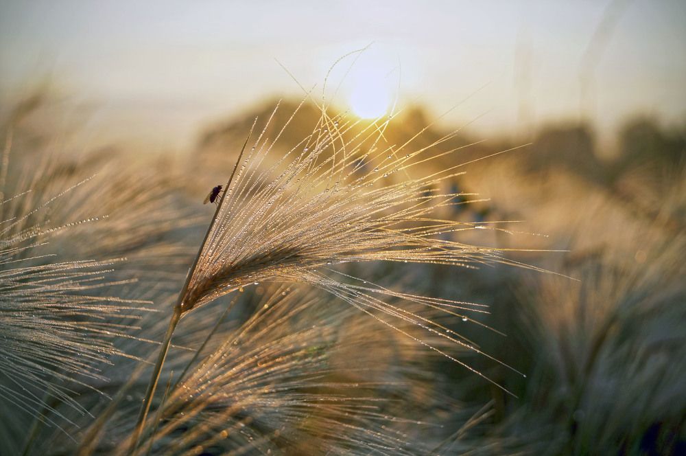 На рассвете.