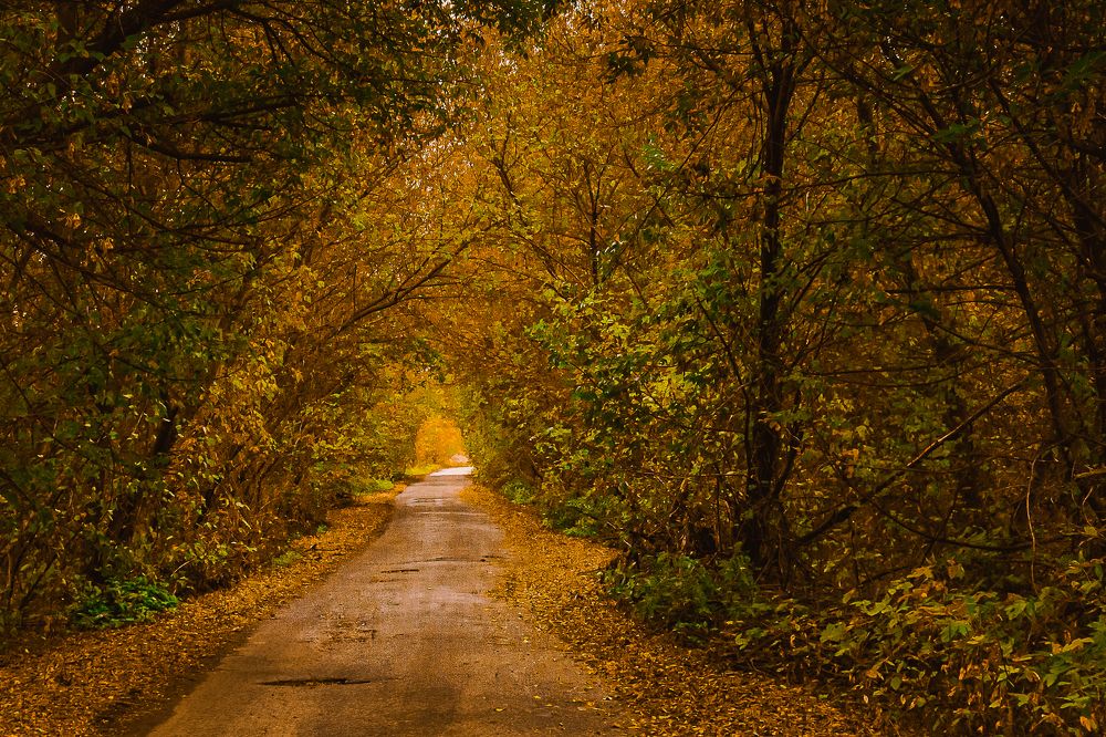 Photograph by Алексей Кузьмин