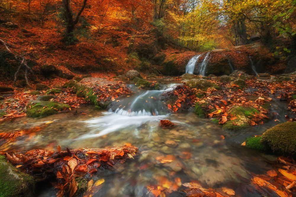 Photograph by Екатерина Дмитренко